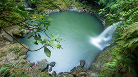 Timeline: Tarapoto history