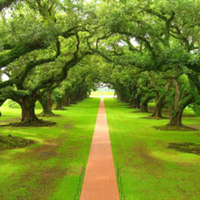 Timeline: Experiencias significativas.