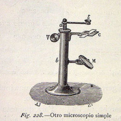 Timeline: HISTORIA DE LA HISTOLOGÍA by Oswaldo Delgadilo partida MX
