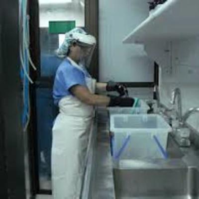 Timeline: La Estrerilizacion