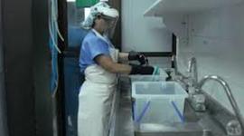 Timeline: La Estrerilizacion