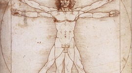 Timeline: Cronología de la anatomía descriptiva como ciencia