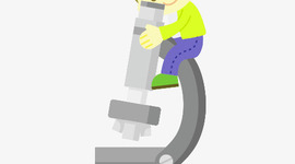 Timeline: ENFOQUE SOCIOLÓGICO DE LAS DIVERSAS CONCEPCIONES DE SALUD