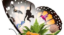 Timeline: HISTORIA DE LA BIOLOGIA