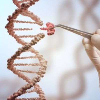 Timeline: Primeros experimentos de ingeniería genética