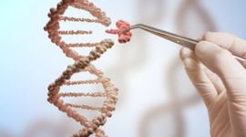 Timeline: Primeros experimentos de ingeniería genética