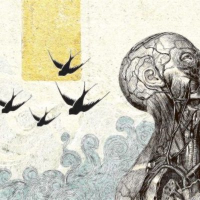 Timeline: LA ANATOMÍA