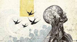 Timeline: LA ANATOMÍA