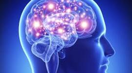 Timeline: LA NEUROPSICOLOGIA EN EL TIEMPO
