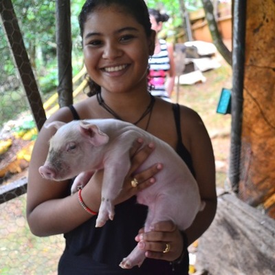 Timeline: simple life of Michell