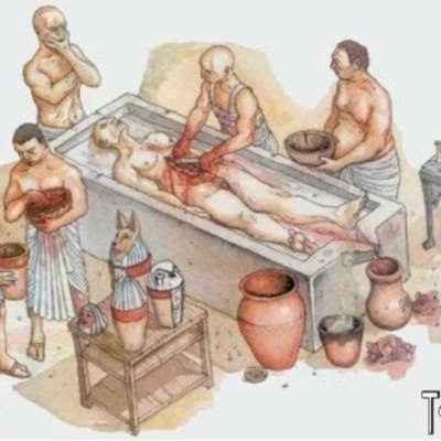 Timeline: LA FASE DESCRIPTIVA DE LA ANATOMÍA