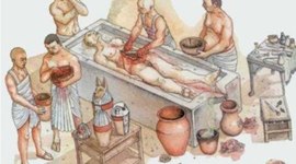 Timeline: LA FASE DESCRIPTIVA DE LA ANATOMÍA