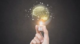 Timeline: Gestión del conoimiento