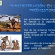Administracion 2