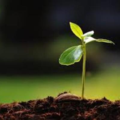 Timeline: Environmental Protection TImeline