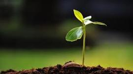 Timeline: Environmental Protection TImeline