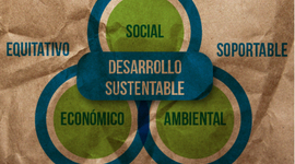 Timeline: Desarrollo Sustentable