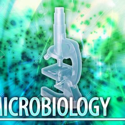 Timeline: MICROORGANISMO Y MICROBIOLOGIA