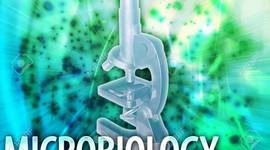 Timeline: MICROORGANISMO Y MICROBIOLOGIA