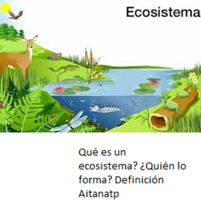 Timeline: LOS ECOSISTEMAS
