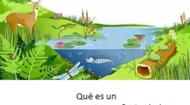 Timeline: LOS ECOSISTEMAS