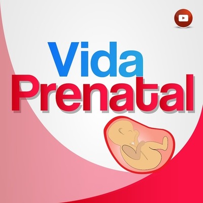 Timeline: DESARROLLO PRENATAL