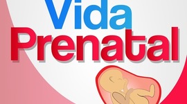 Timeline: DESARROLLO PRENATAL
