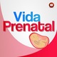 Vida prenatal