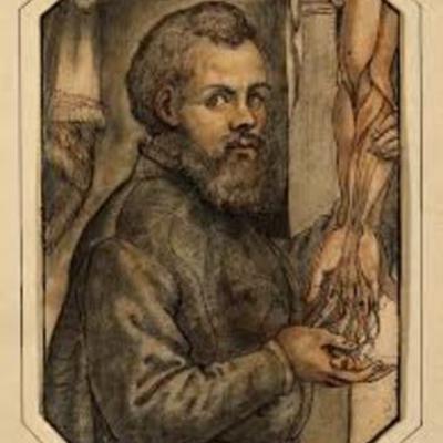 Timeline: Andres Vesalio 1514, realizo estudios de cadaveres