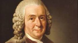 Timeline: Carlos Linneo  1707, padre de la Taxonomia, introdujo la moderna clasificacion biologica