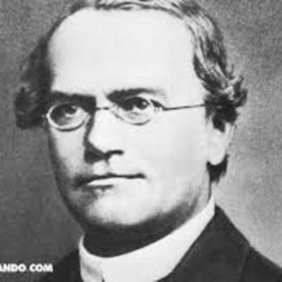 Timeline: Gregor Mendel 1865, padre de la genética, plantea sus leyes sobre la herencia