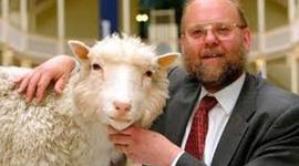 Timeline: Ian Wilmut y Keith Campbell 1996, clonan al primer mamífero DOLLY