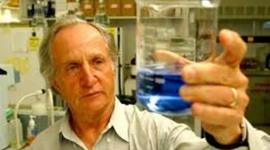 Timeline: Mario Capecchi 2007, pionero de la ingeniería genética, trabajo sobre las células madres  y manipulo la genética en modelos.