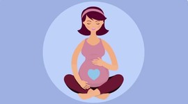 Timeline: Desarrollo Prenatal