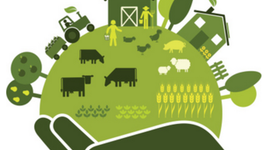 Timeline: Evolución de la responsabilidad social en México y en el mundo