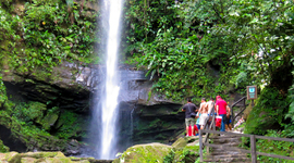 Timeline: Tarapoto city