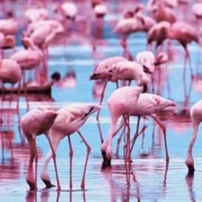 Timeline: time line MD