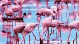 Timeline: time line MD