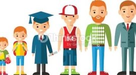 Timeline: Ciclo vital