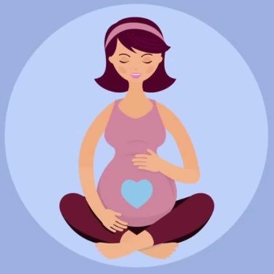 Timeline: Desarrollo prenatal