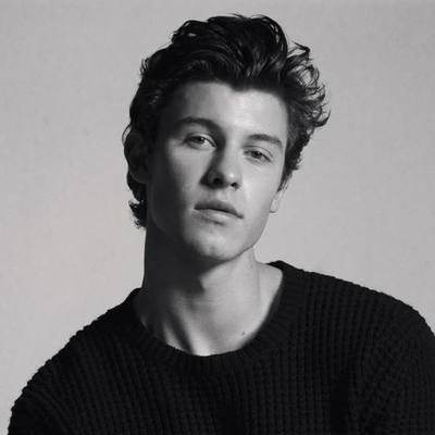 Timeline: shawn mendes