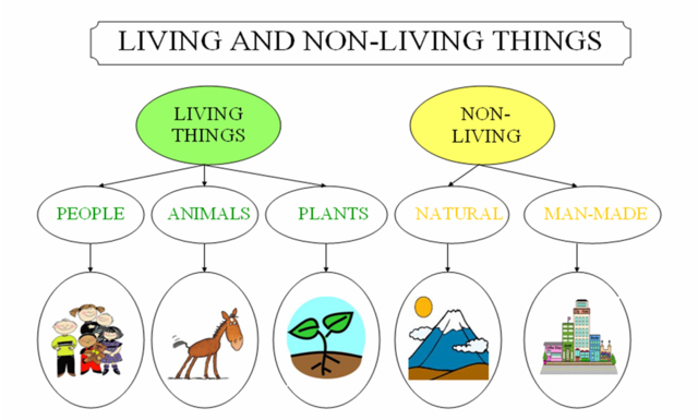 MODULE 1: LIVING THINGS timeline | Timetoast timelines