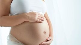 Timeline: Pregnancy Timeline