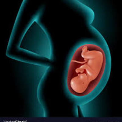 Timeline: Pregnancy Timeline