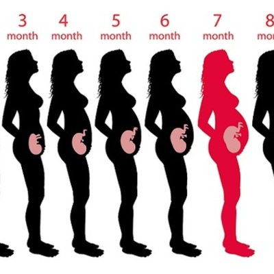 Timeline: Pregnancy Timeline