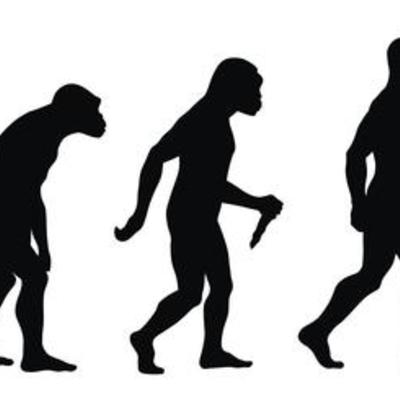 Timeline: evolución del hombre