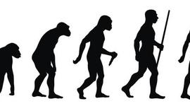 Timeline: evolución del hombre