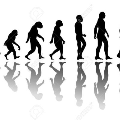 Timeline: Evolucion del hombre