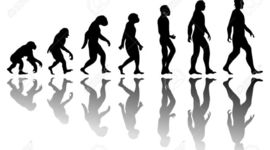 Timeline: Evolucion del hombre