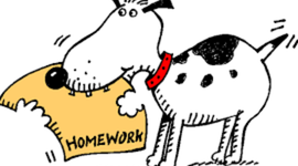 Timeline: Test timeline